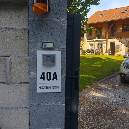 La Randonnee Des Vignobles Essomes-sur-Marne